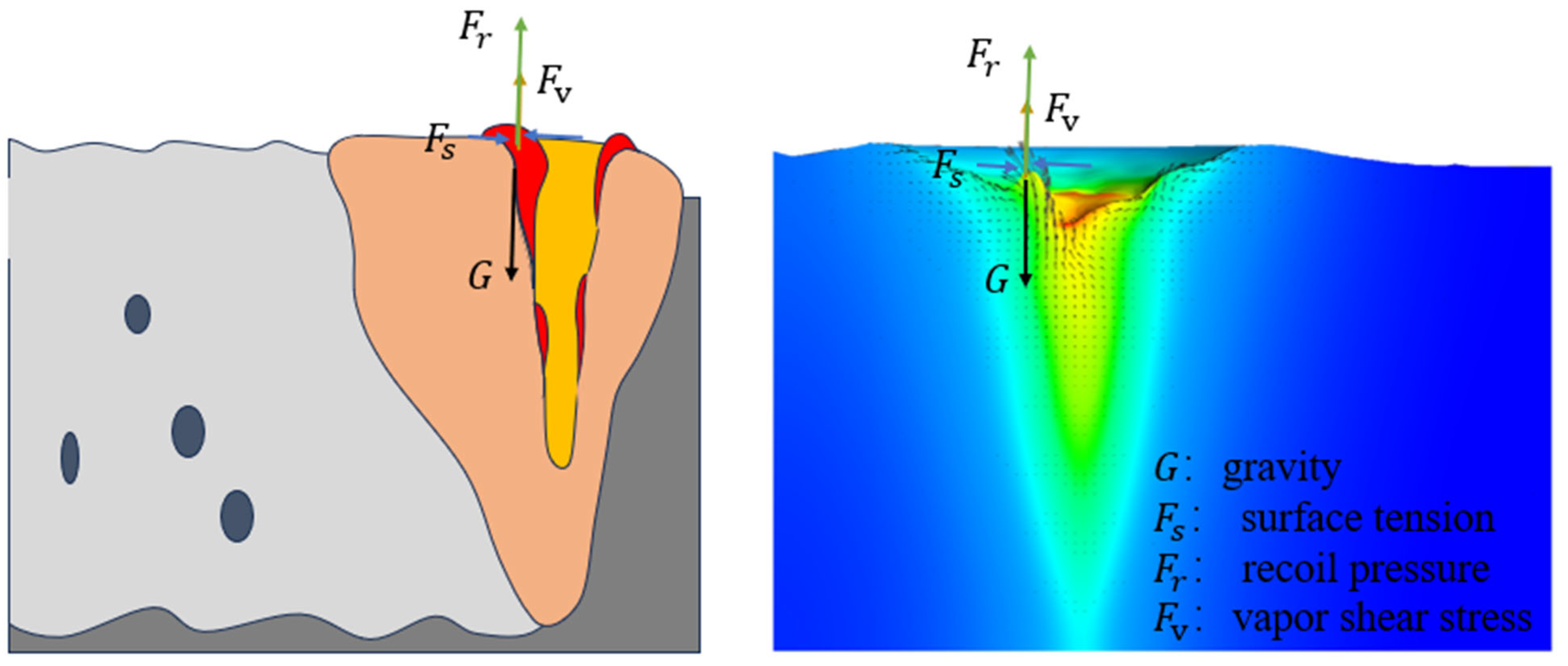 Coatings 15 00691 g008