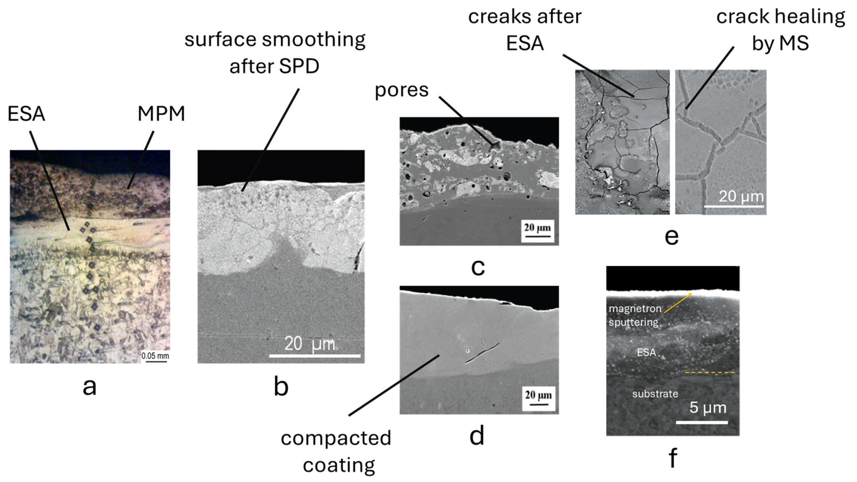 Coatings 15 00721 g016