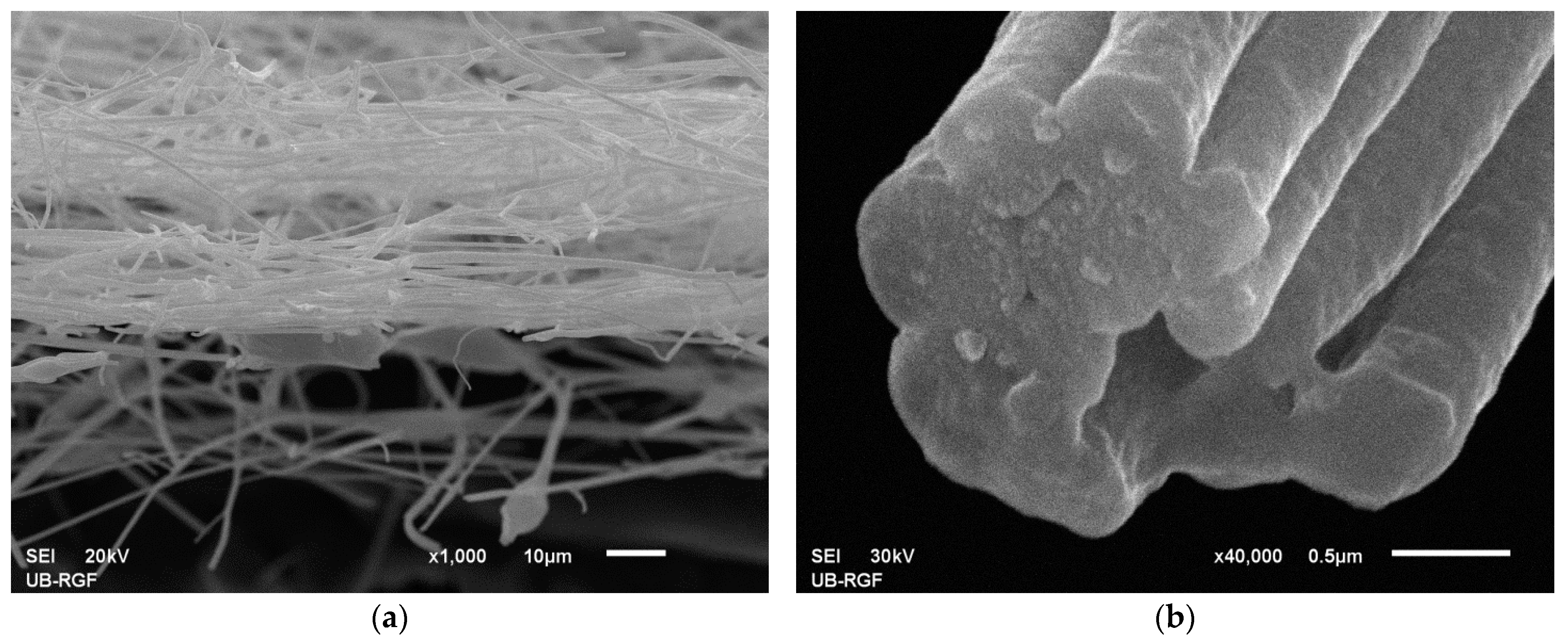 Coatings 15 00727 g003