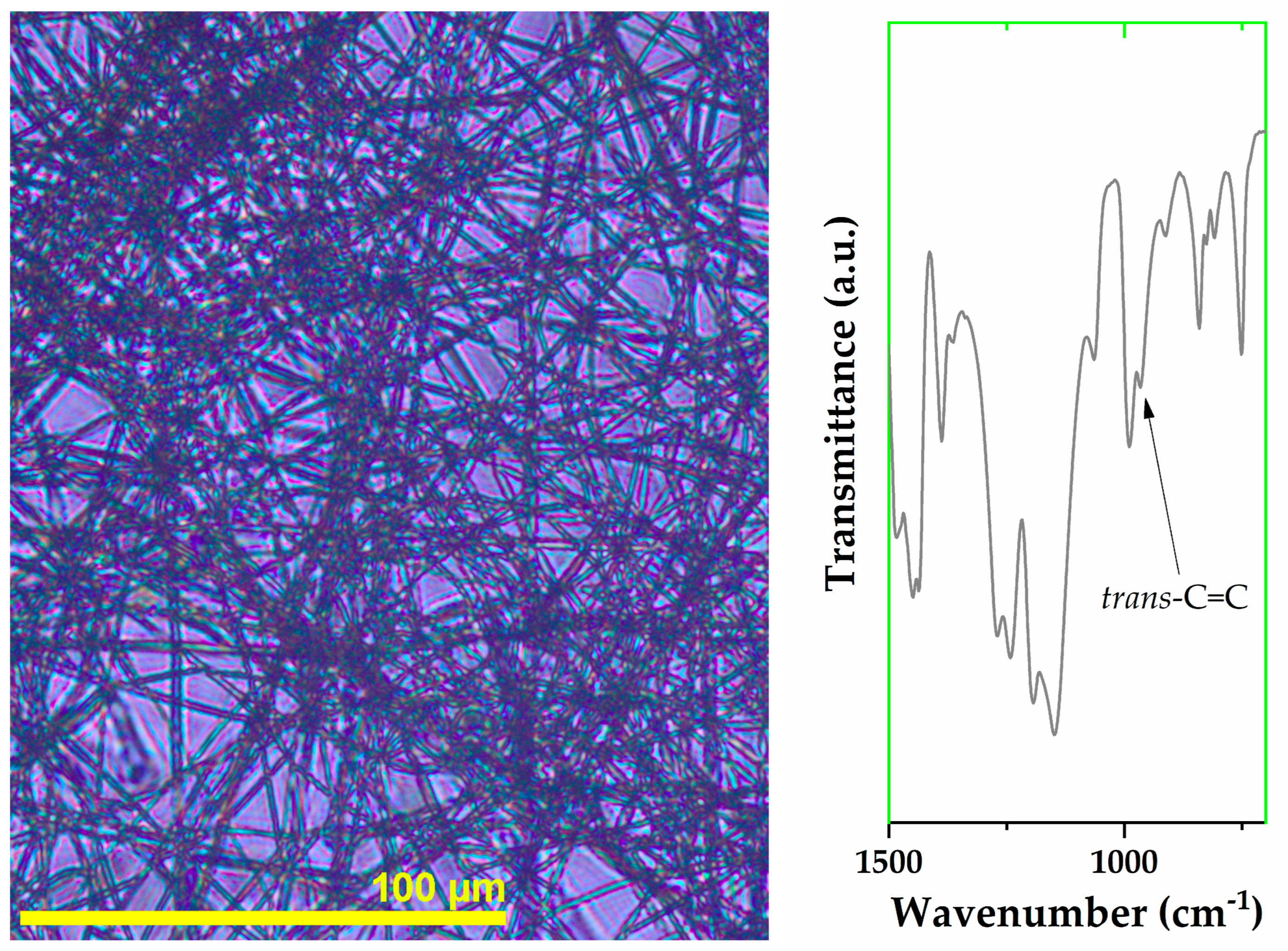 Coatings 15 00727 g006