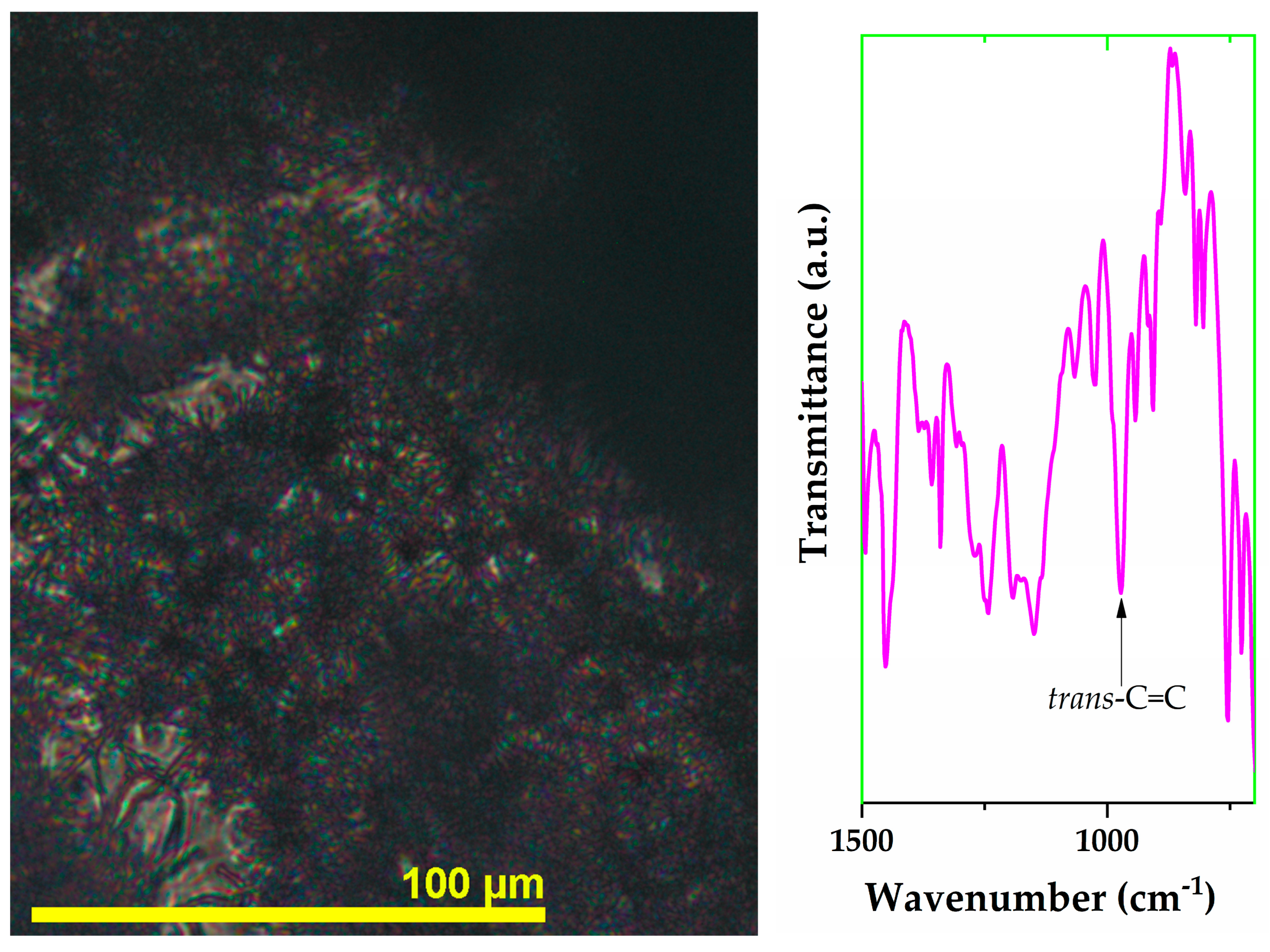 Coatings 15 00727 g007