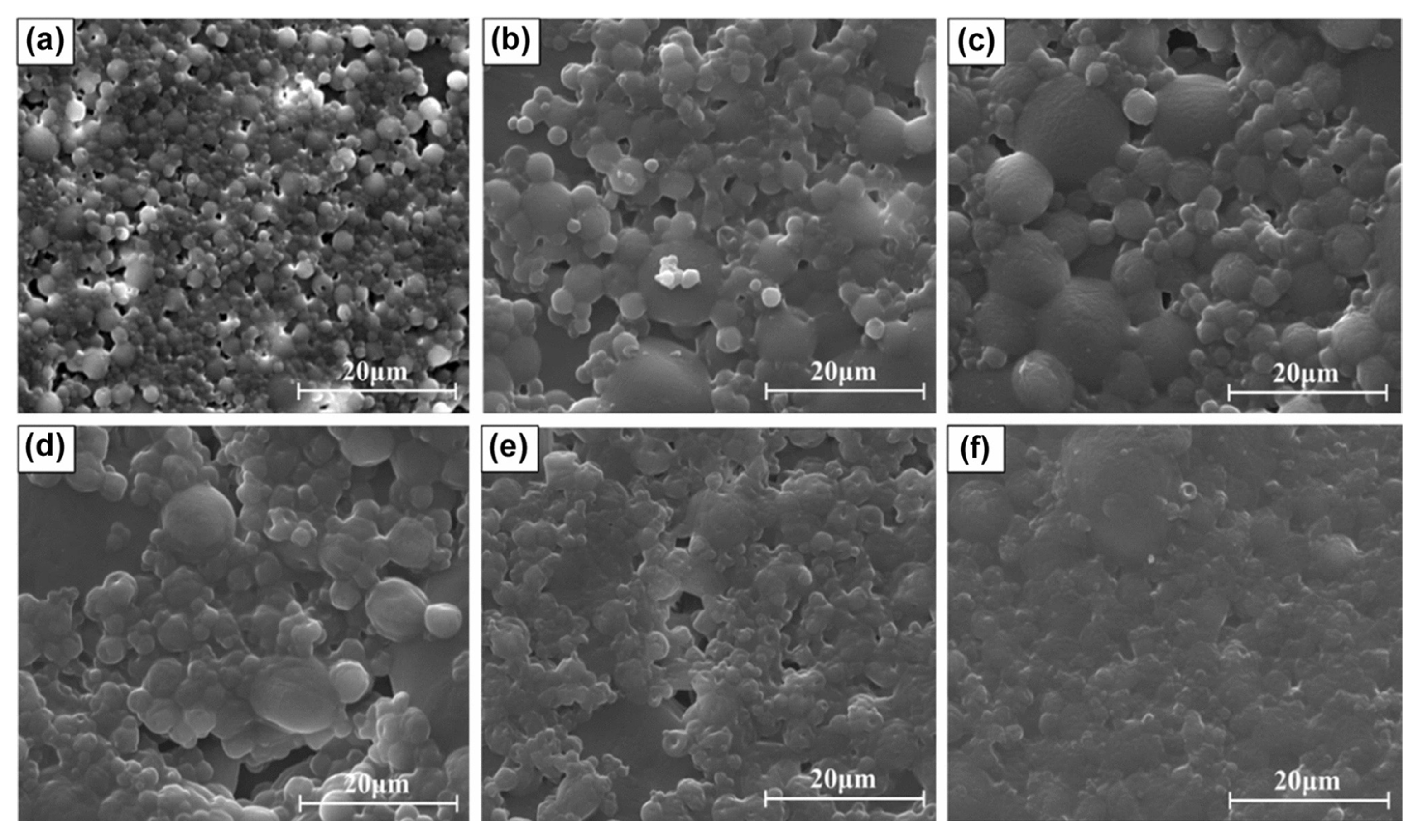 Coatings 15 00737 g006