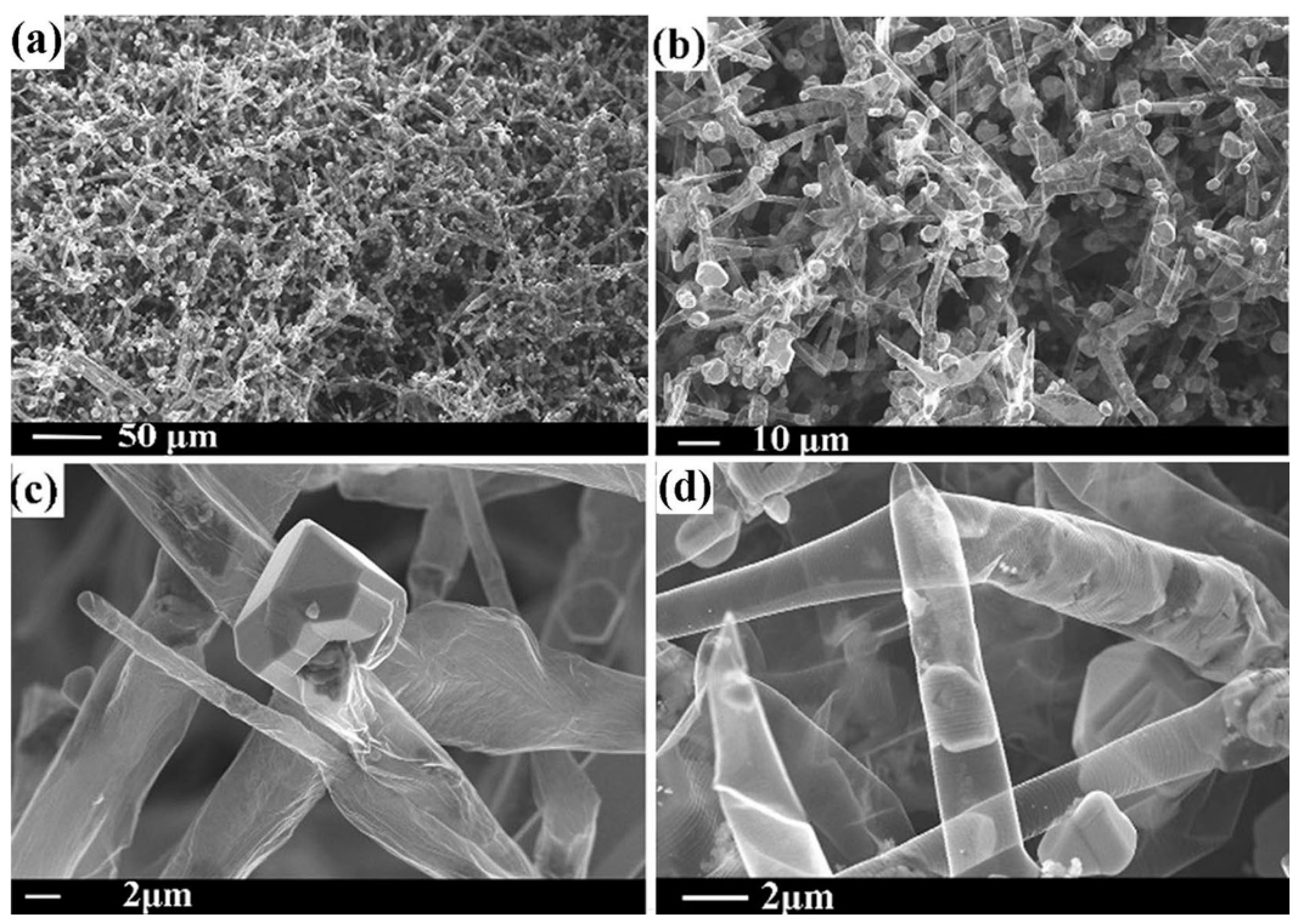 Coatings 15 00754 g006