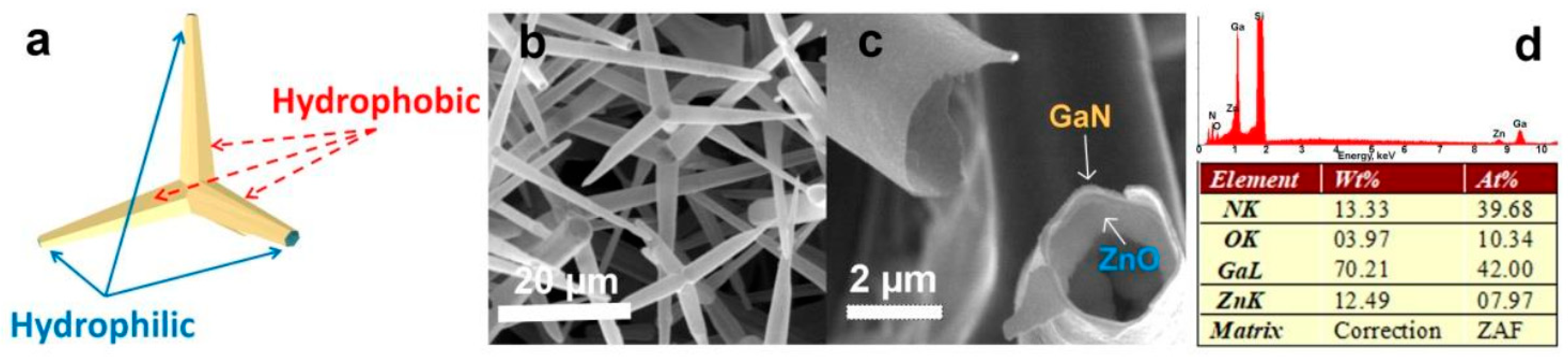 Coatings 15 00754 g010
