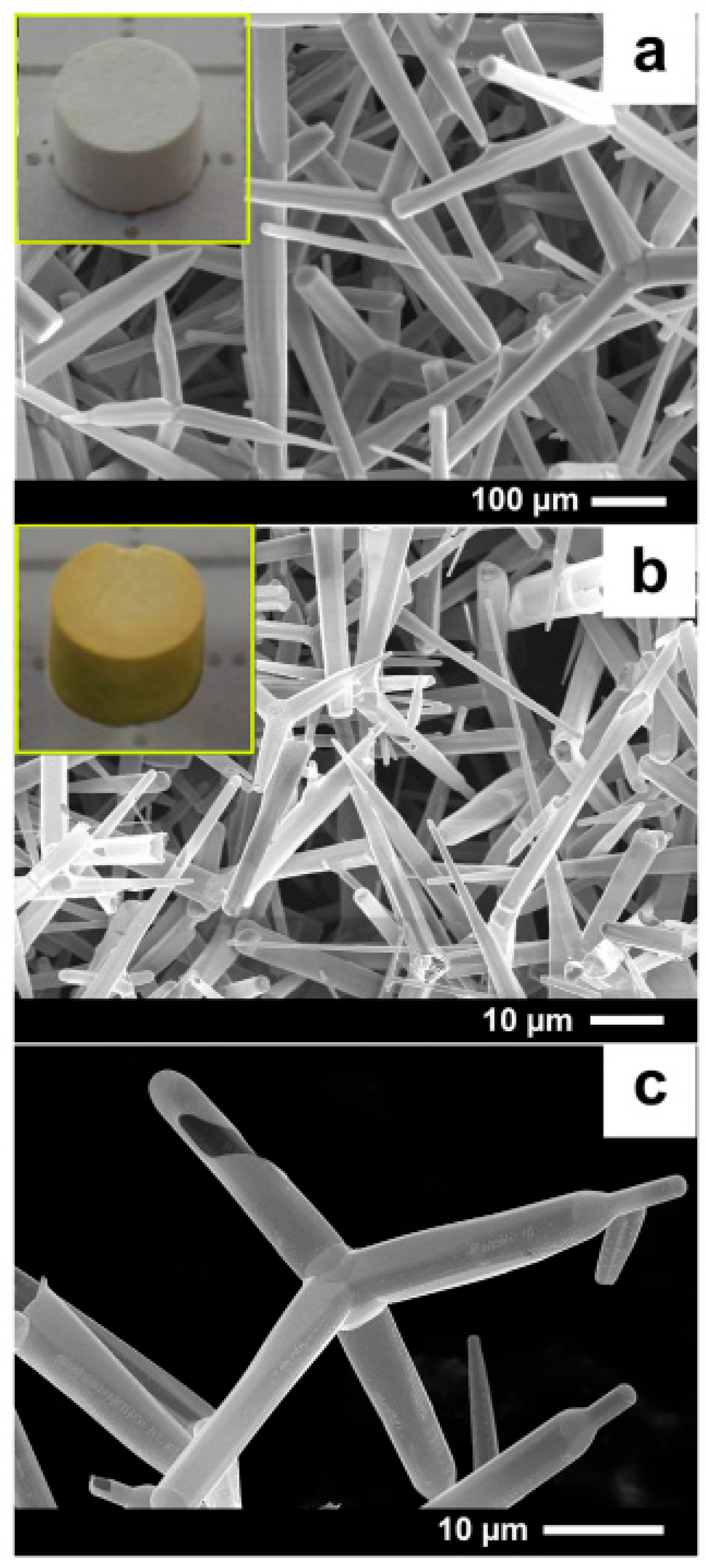 Coatings 15 00754 g011