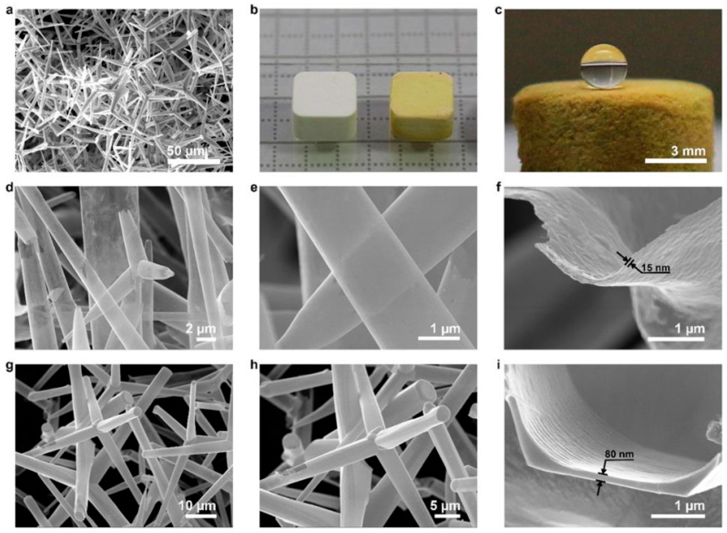 Coatings 15 00754 g012