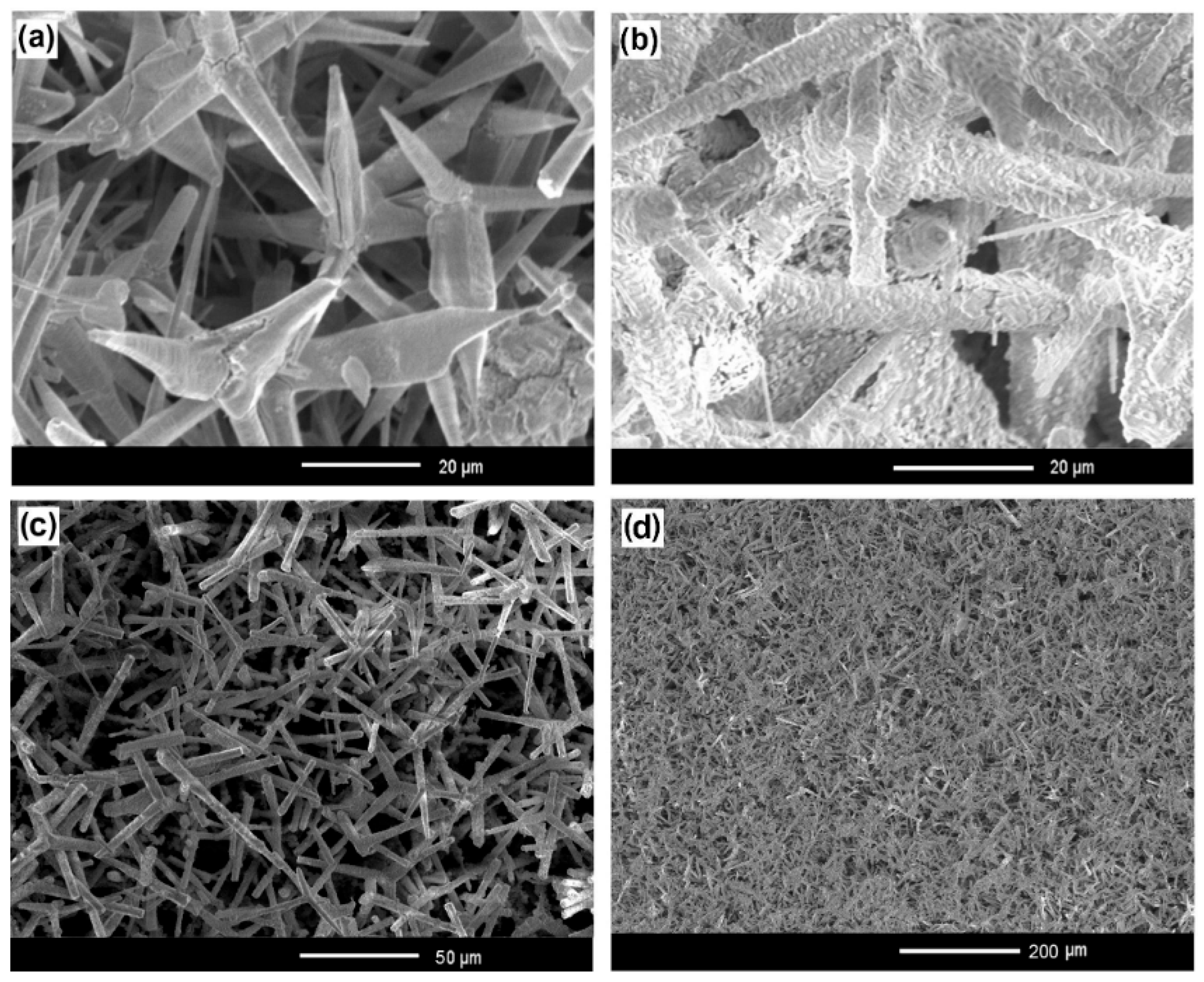 Coatings 15 00754 g016
