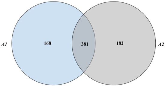 Coatings 15 00760 g012