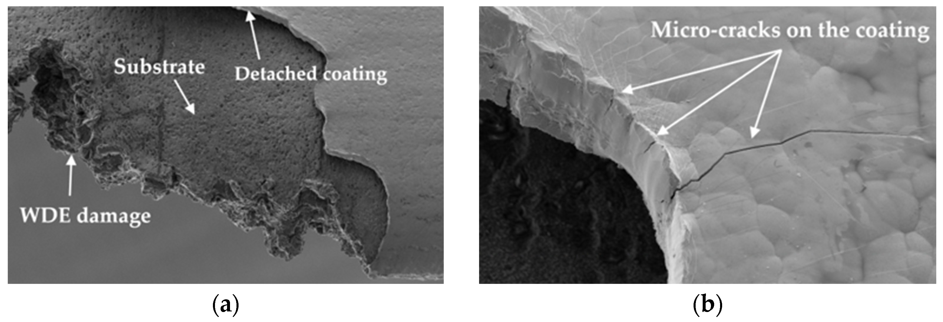 Coatings 15 00767 g009 Coatings 15 00767 g009
