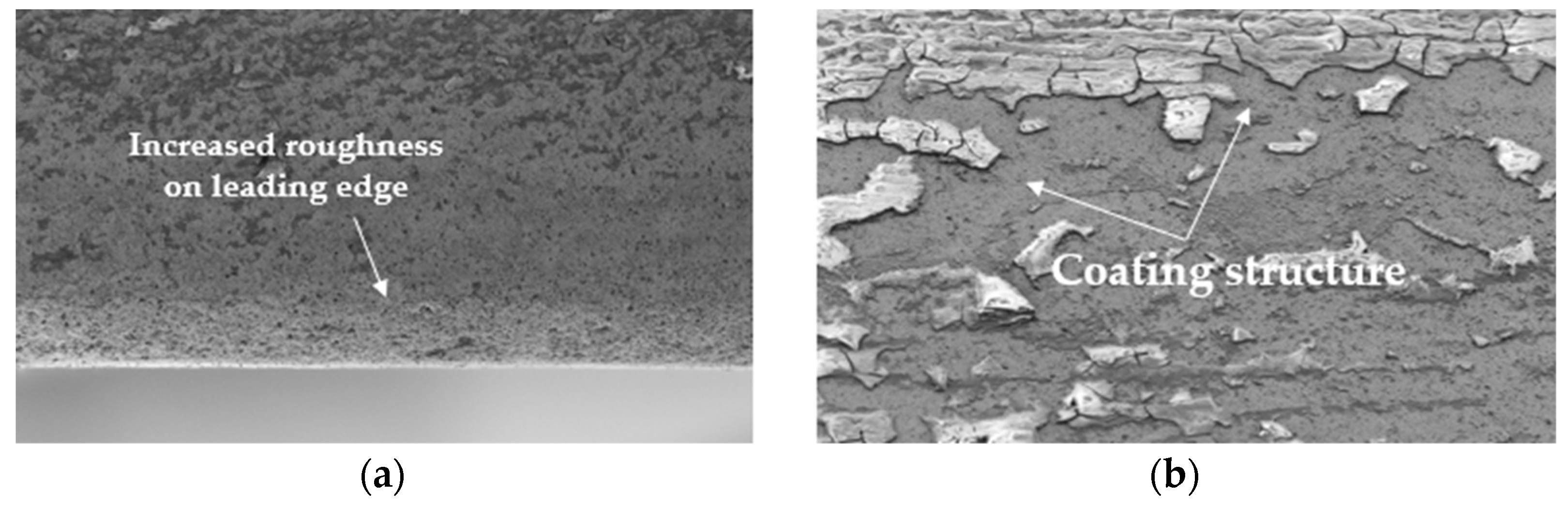 Coatings 15 00767 g010 Coatings 15 00767 g010