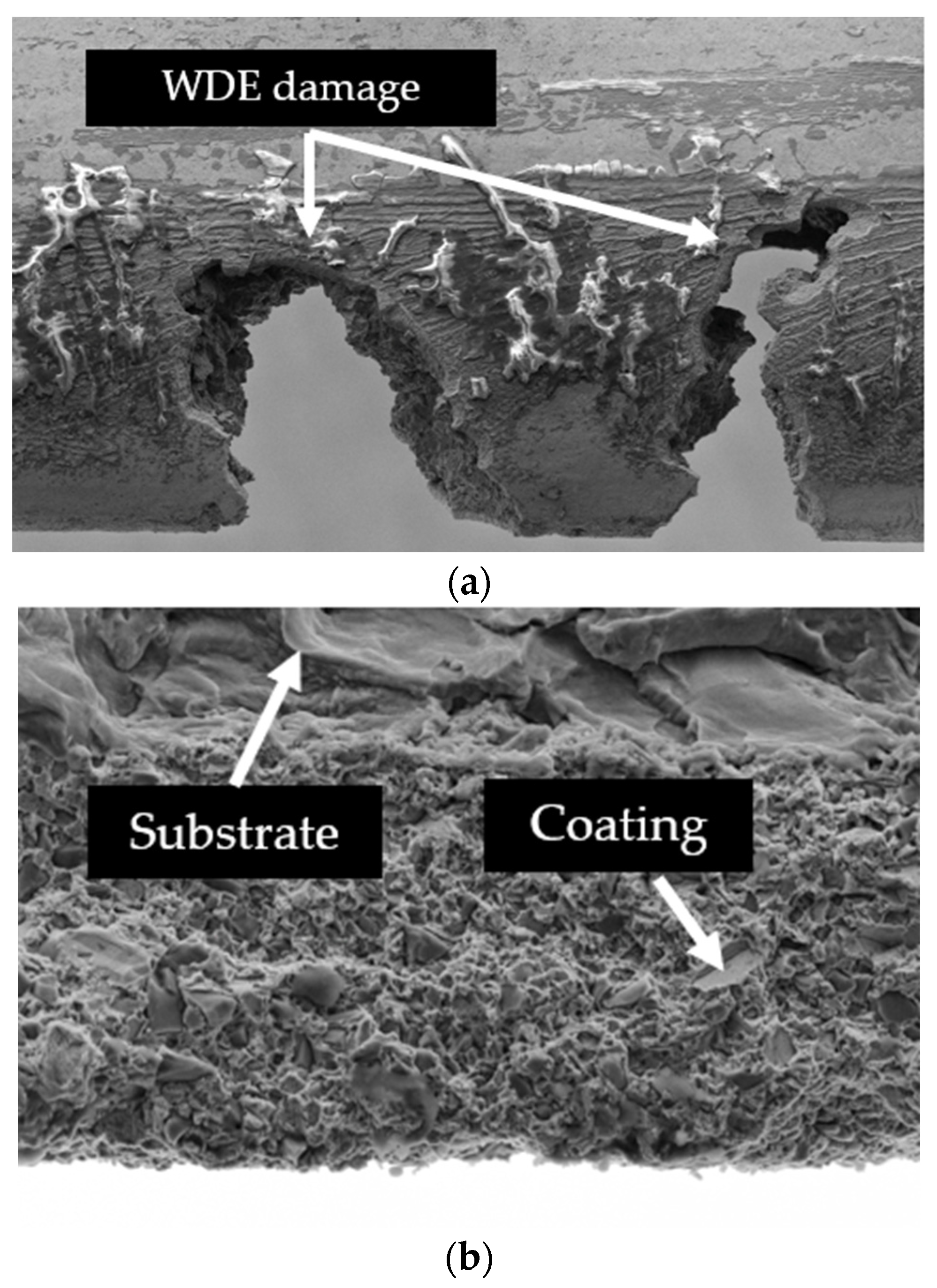 Coatings 15 00767 g011 Coatings 15 00767 g011