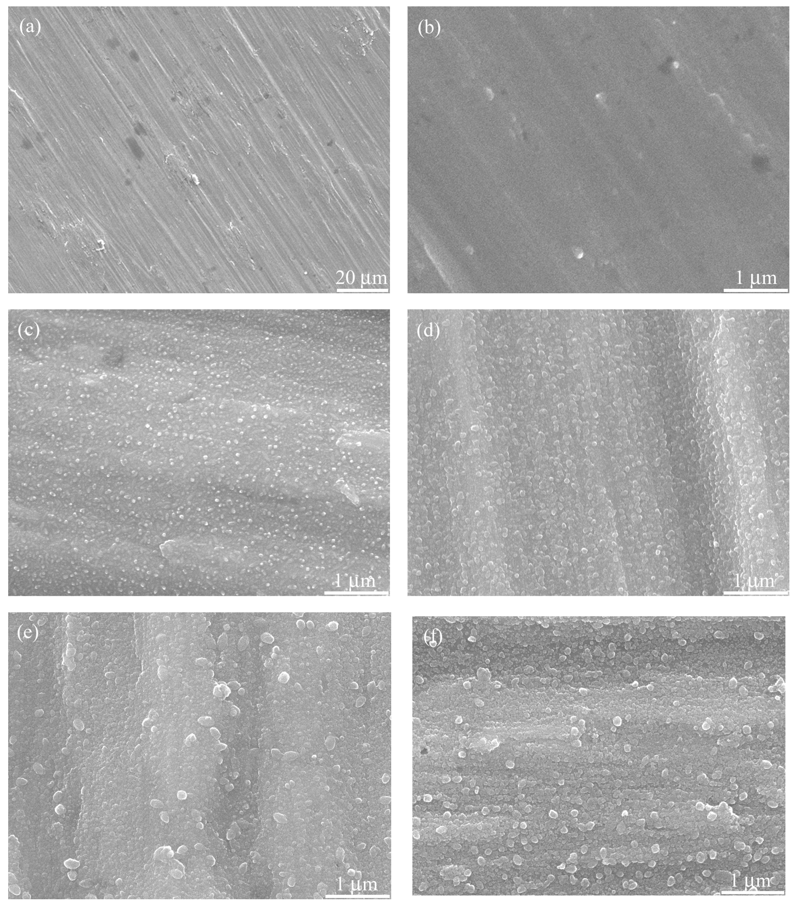 Coatings 15 00771 g003