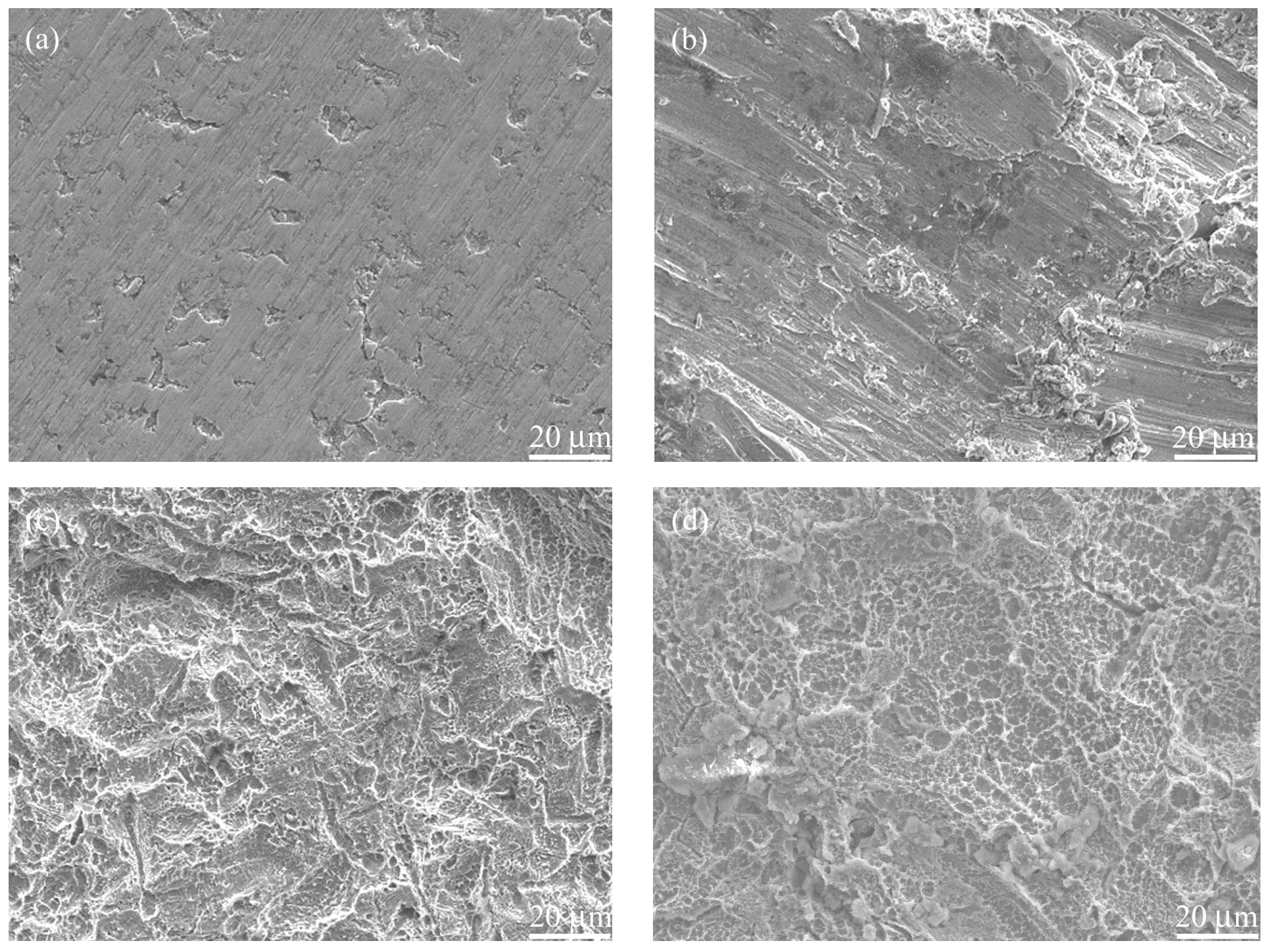 Coatings 15 00771 g004a