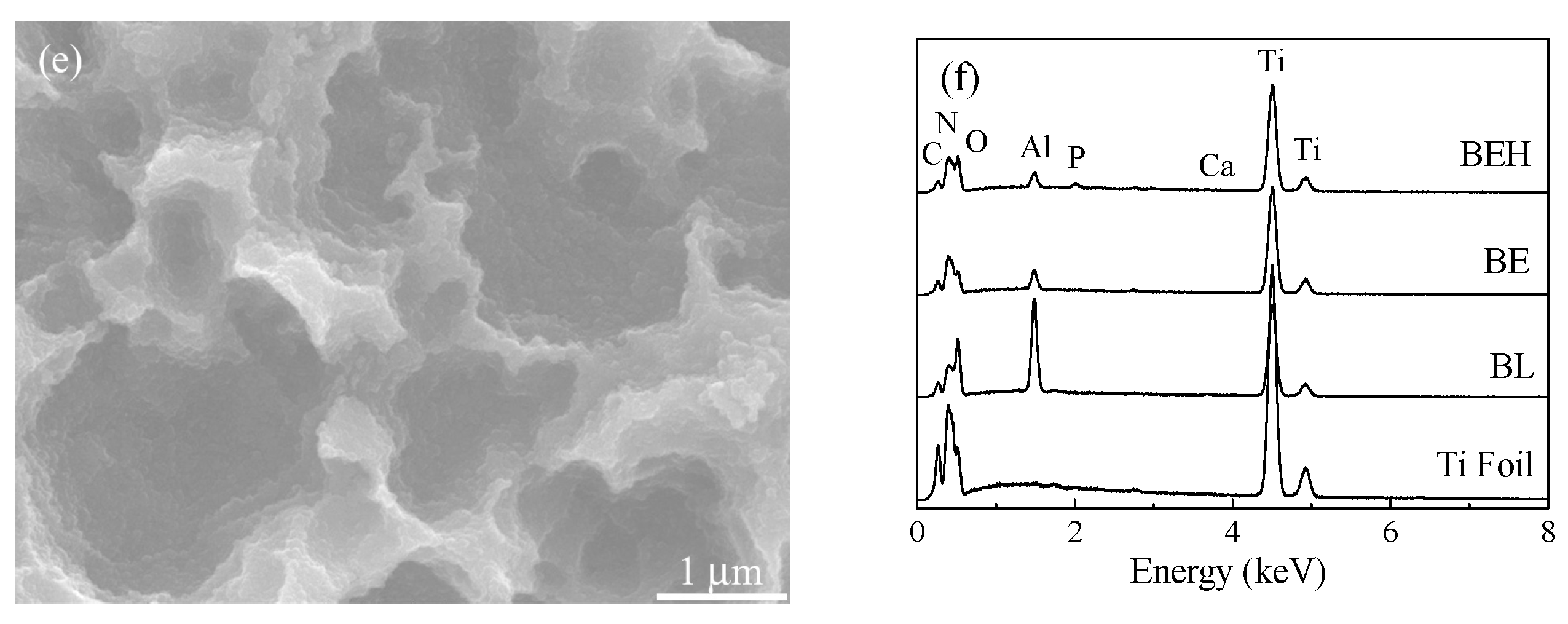 Coatings 15 00771 g004b