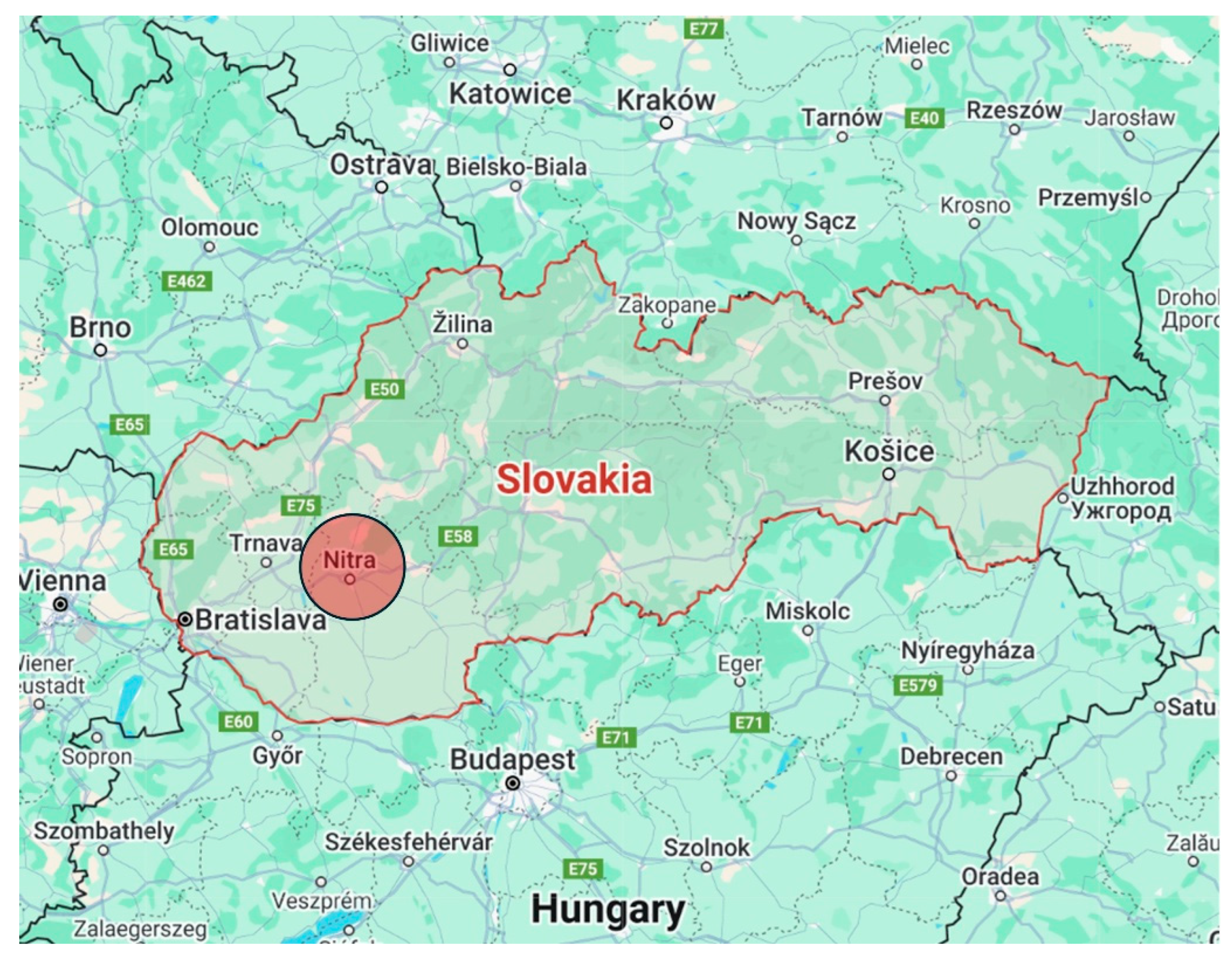 Coatings 15 00781 g012