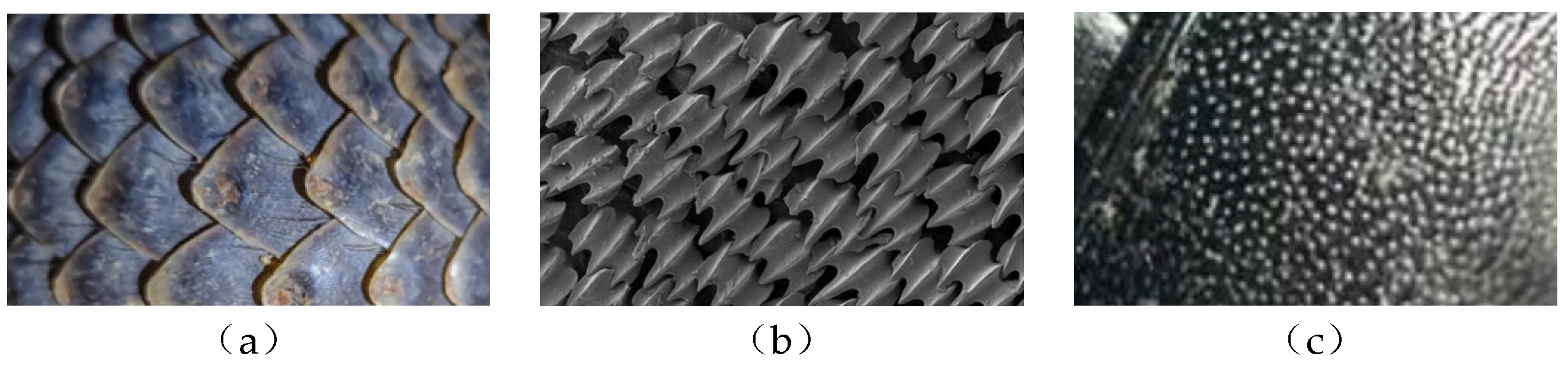 Coatings 15 00789 g009