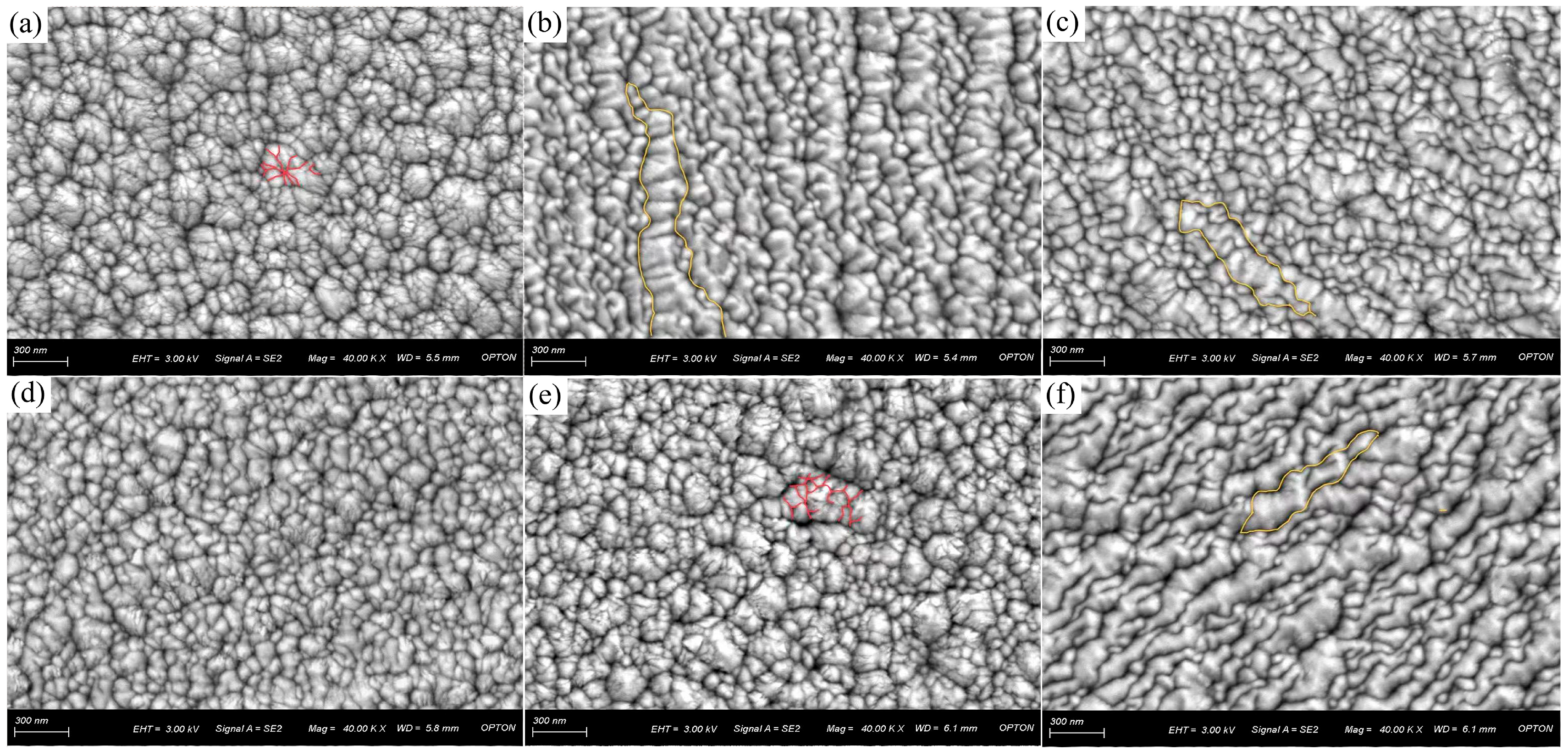 Coatings 15 00804 g002