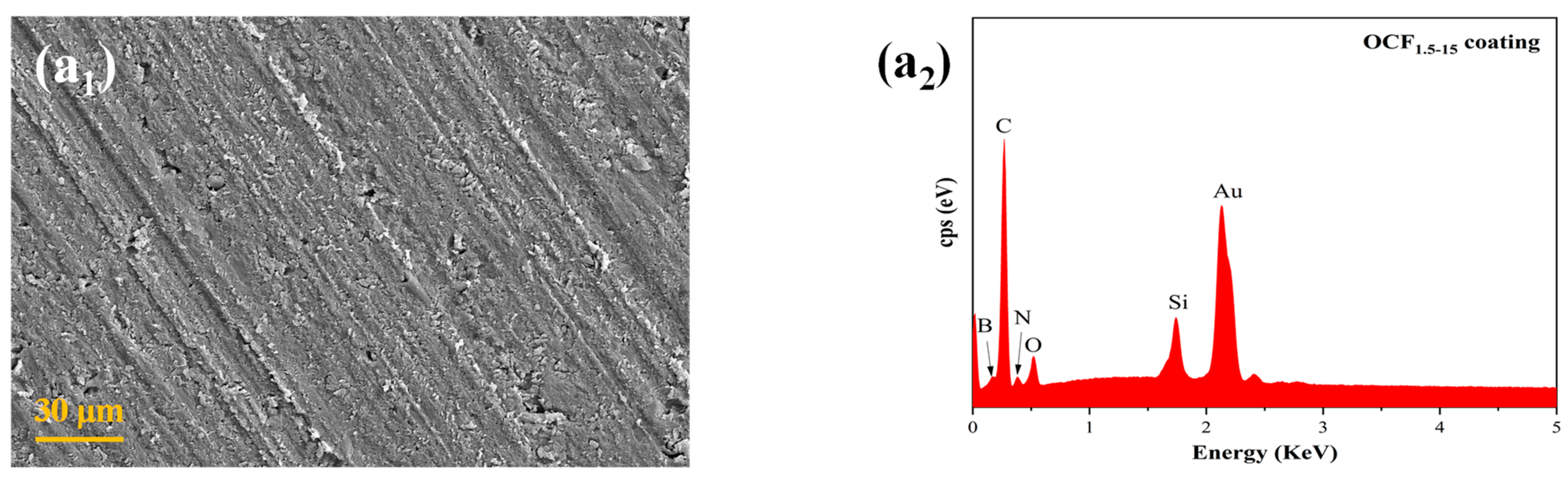 Coatings 15 00818 g003a