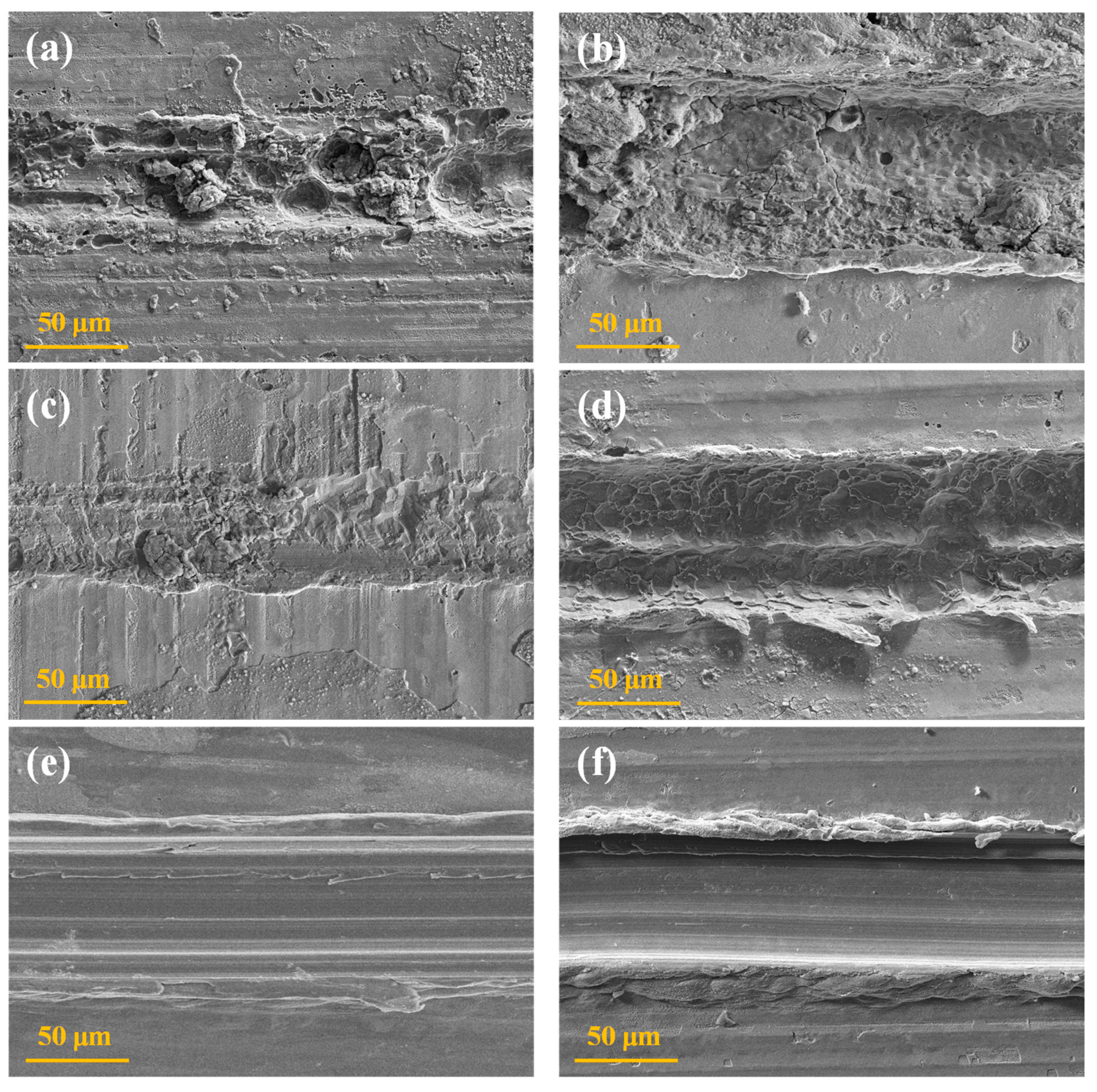 Coatings 15 00818 g009