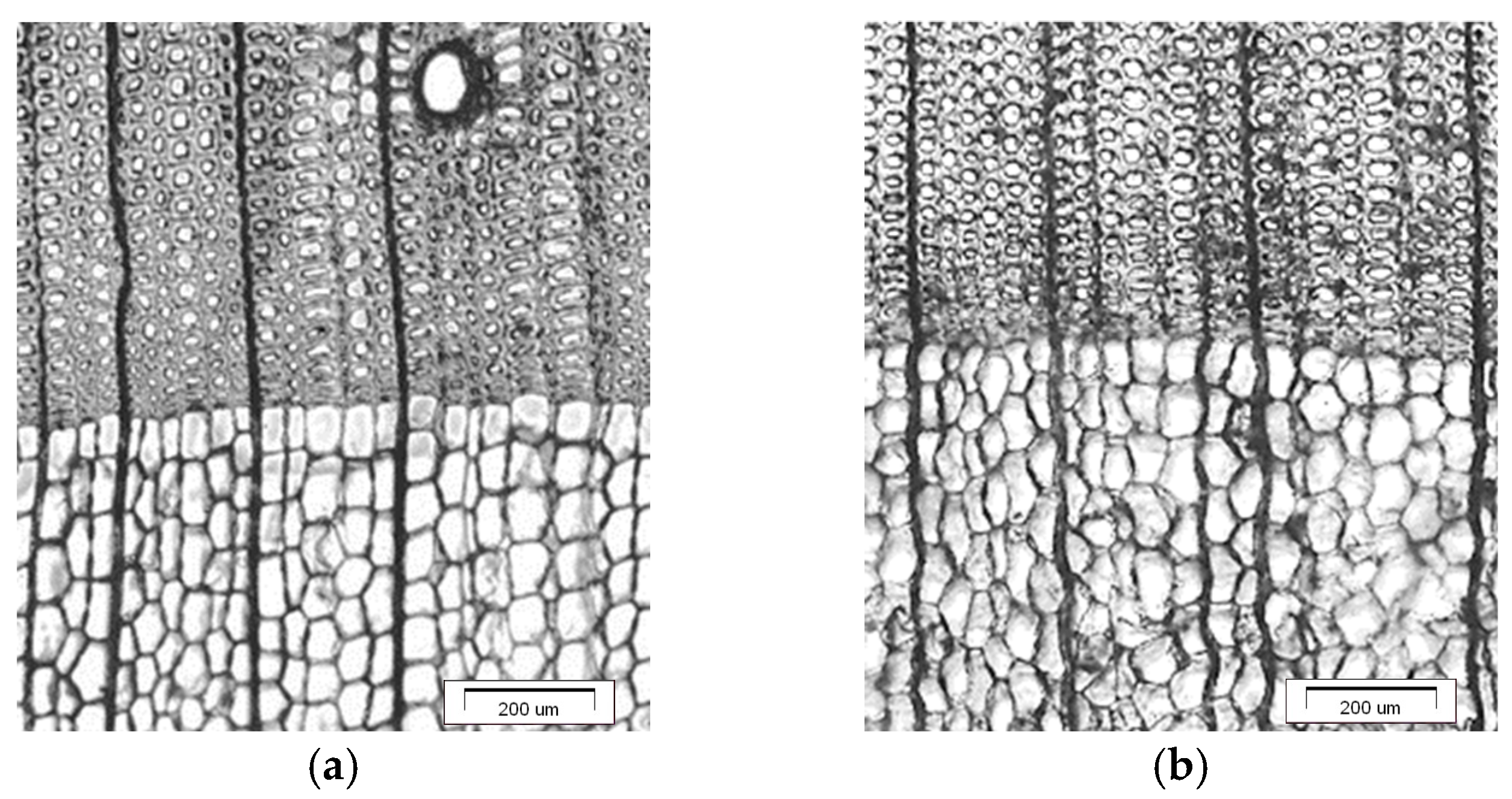 Coatings 15 00860 g002