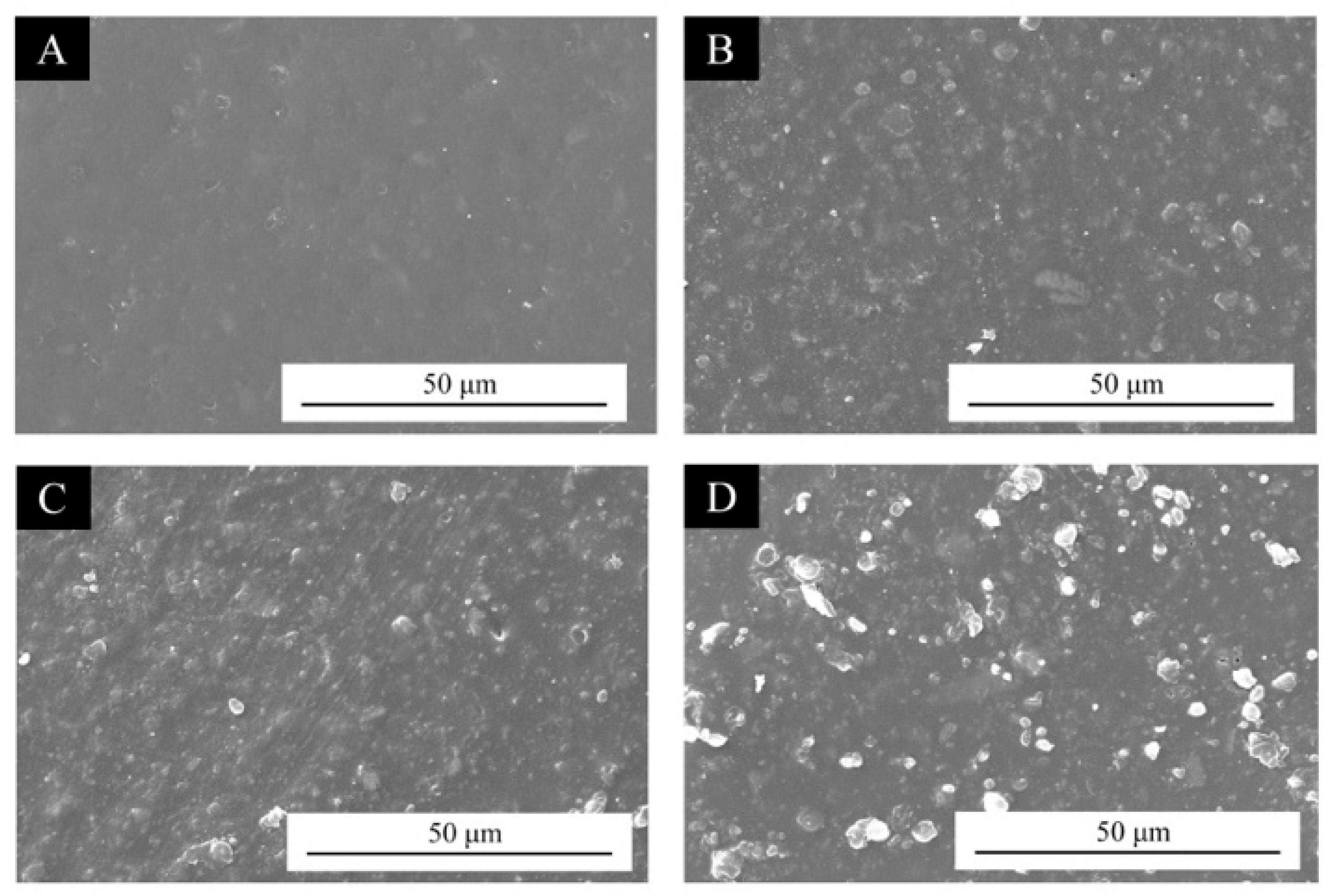 Coatings 15 00873 g006