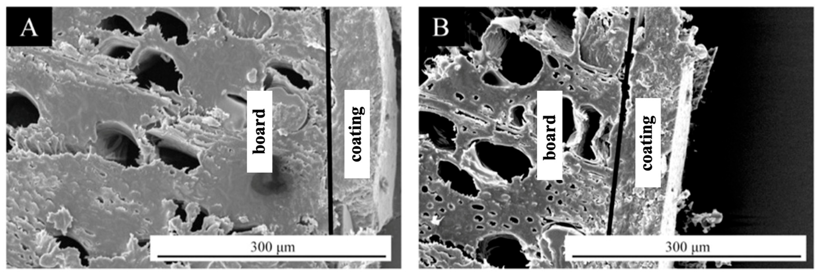 Coatings 15 00873 g007
