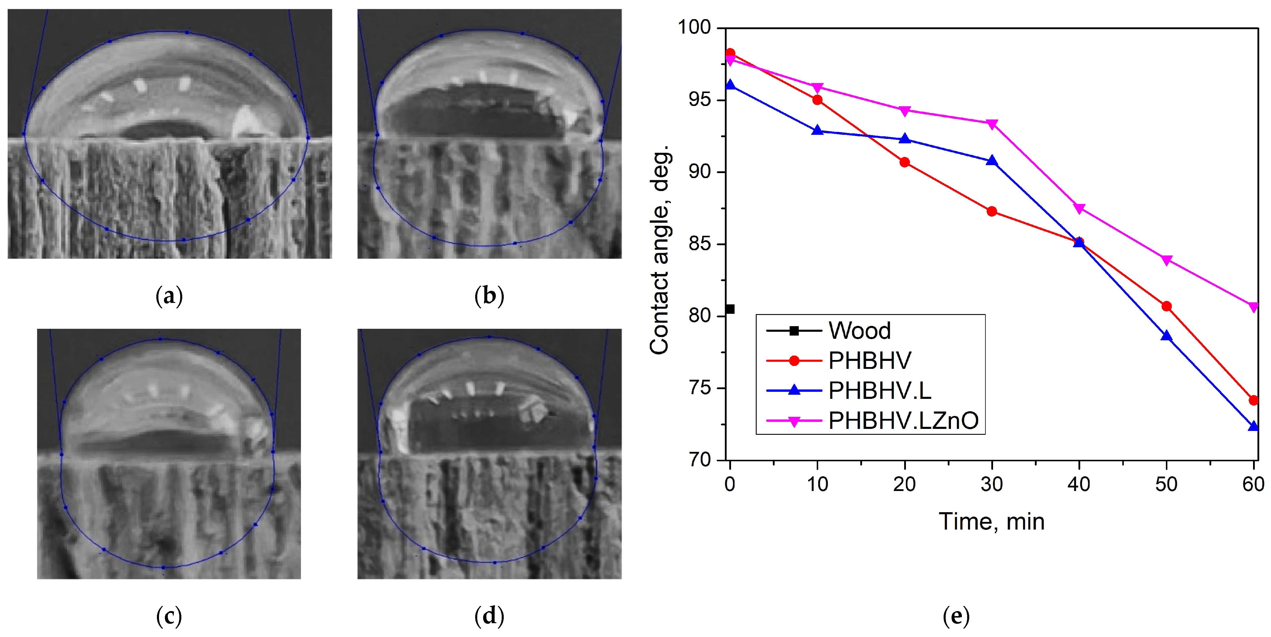 Coatings 15 00875 g008