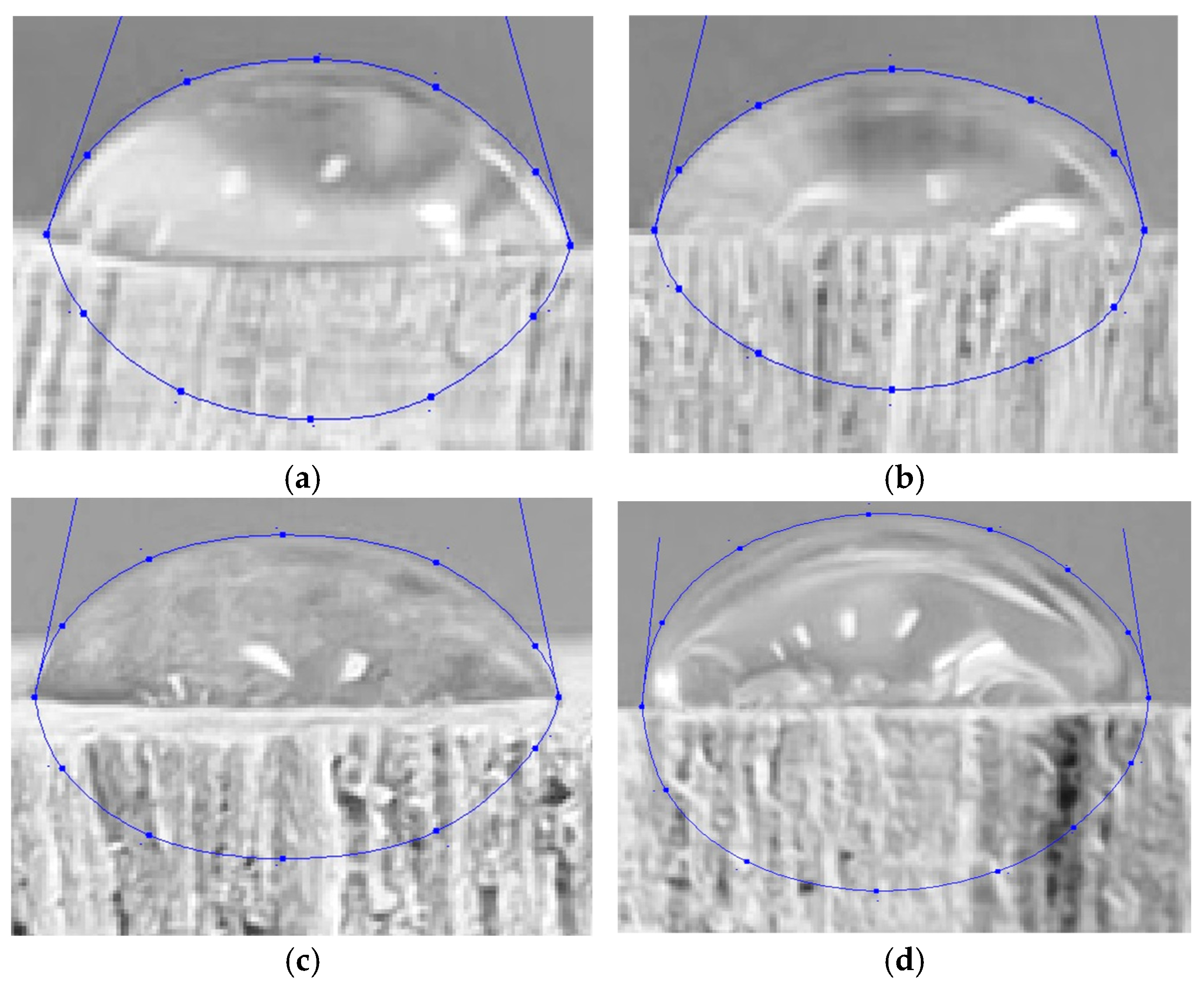 Coatings 15 00875 g012