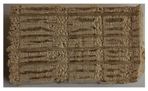 Coatings 15 00875 i001