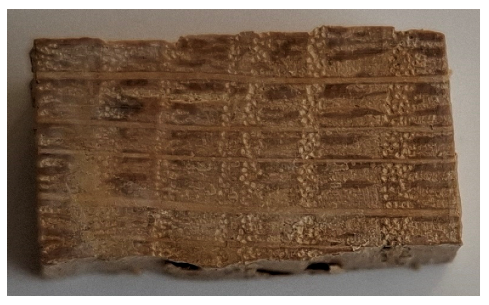 Coatings 15 00875 i002