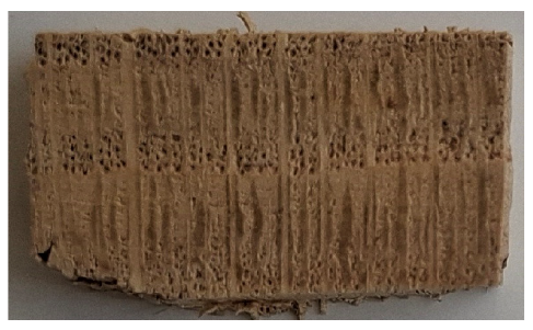 Coatings 15 00875 i004