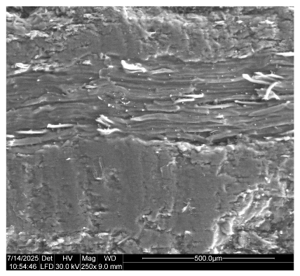 Coatings 15 00875 i006