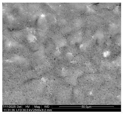 Coatings 15 00875 i007