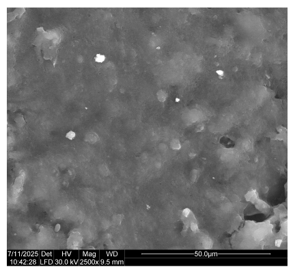 Coatings 15 00875 i008