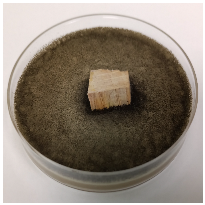 Coatings 15 00875 i036