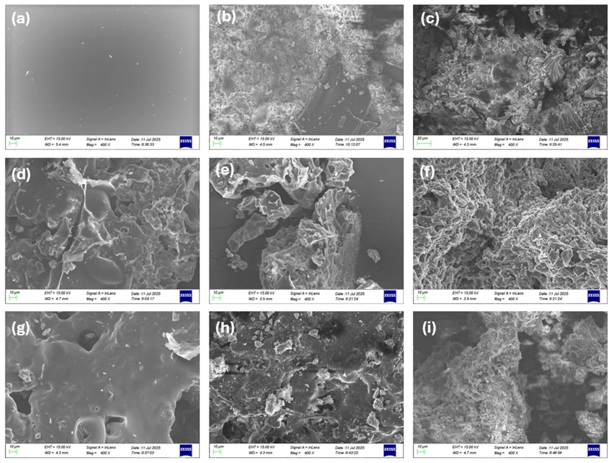 Coatings 15 00886 g011