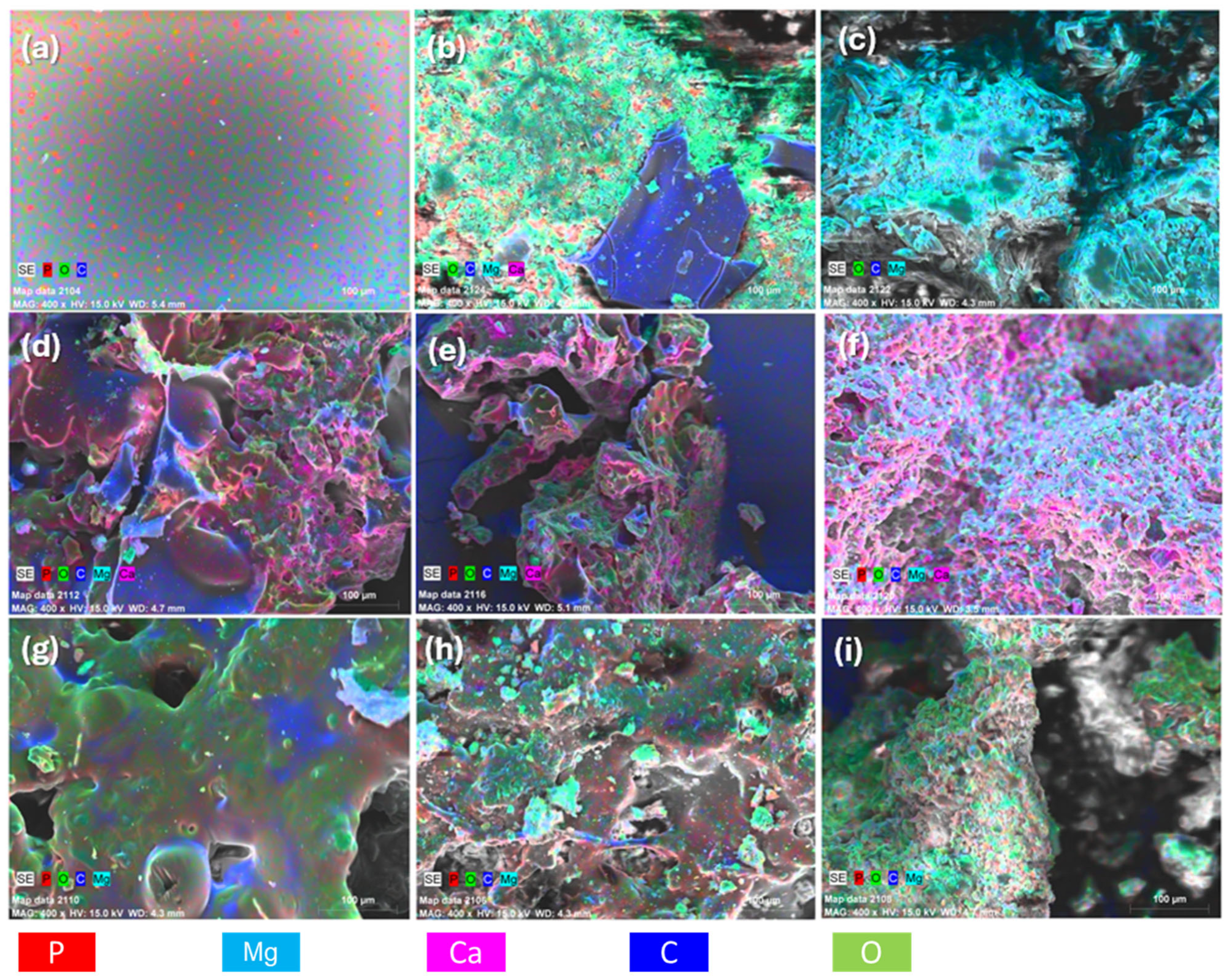 Coatings 15 00886 g012
