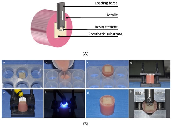 Coatings 15 00896 g002