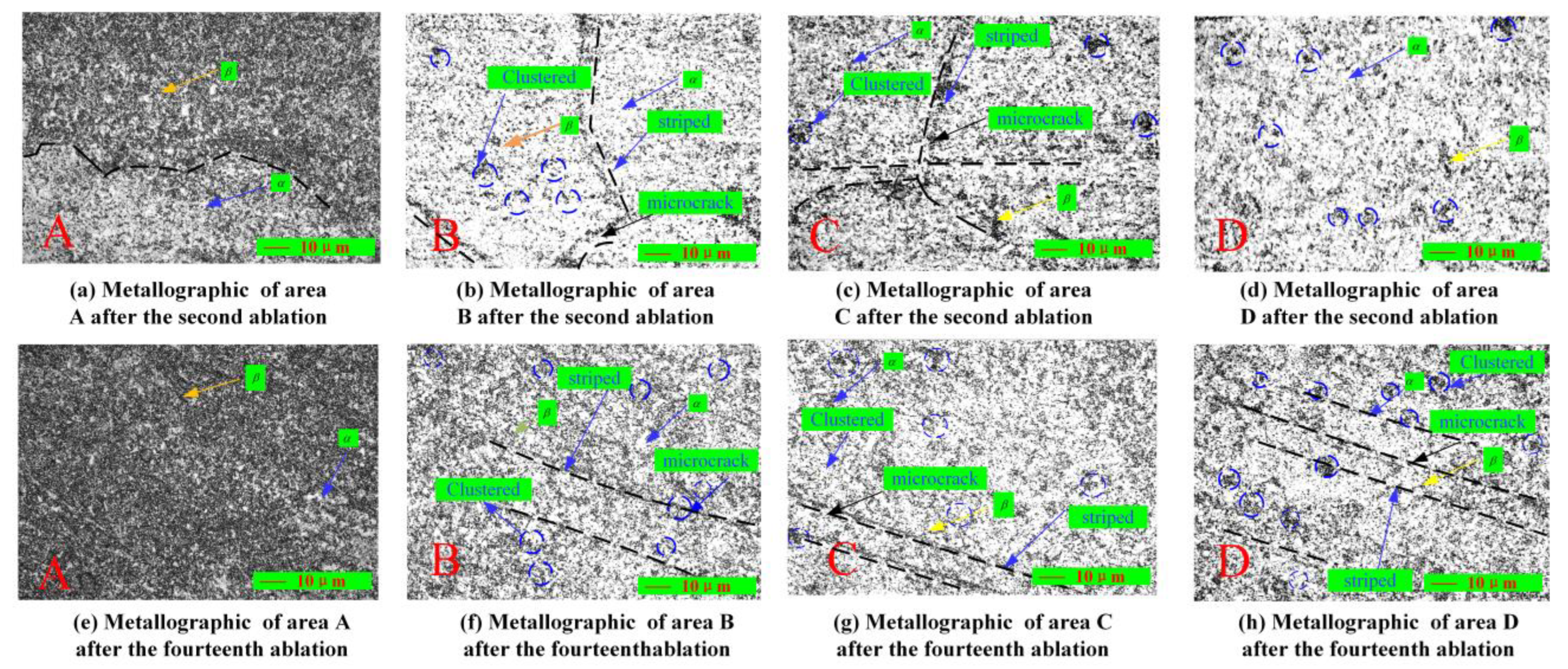Coatings 15 00901 g016
