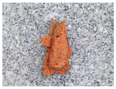 Coatings 15 00909 i002