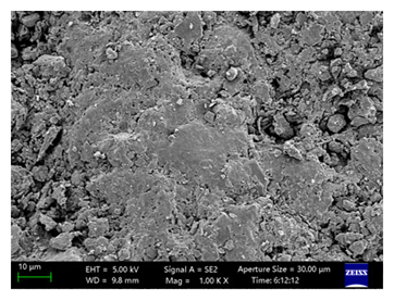 Coatings 15 00909 i018