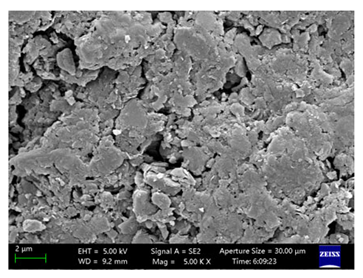 Coatings 15 00909 i022