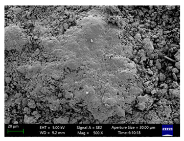 Coatings 15 00909 i024