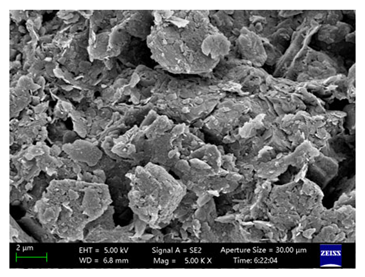 Coatings 15 00909 i037