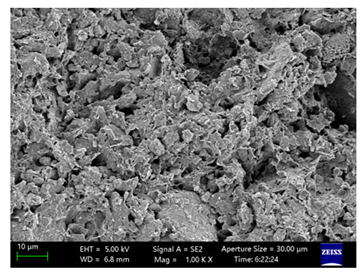 Coatings 15 00909 i038