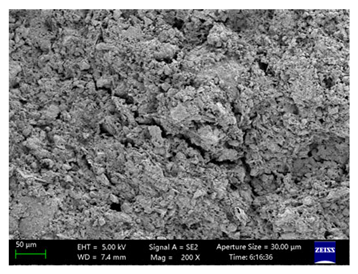 Coatings 15 00909 i050