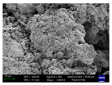 Coatings 15 00909 i053