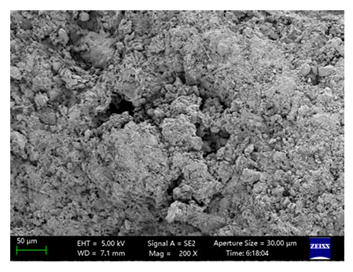 Coatings 15 00909 i055