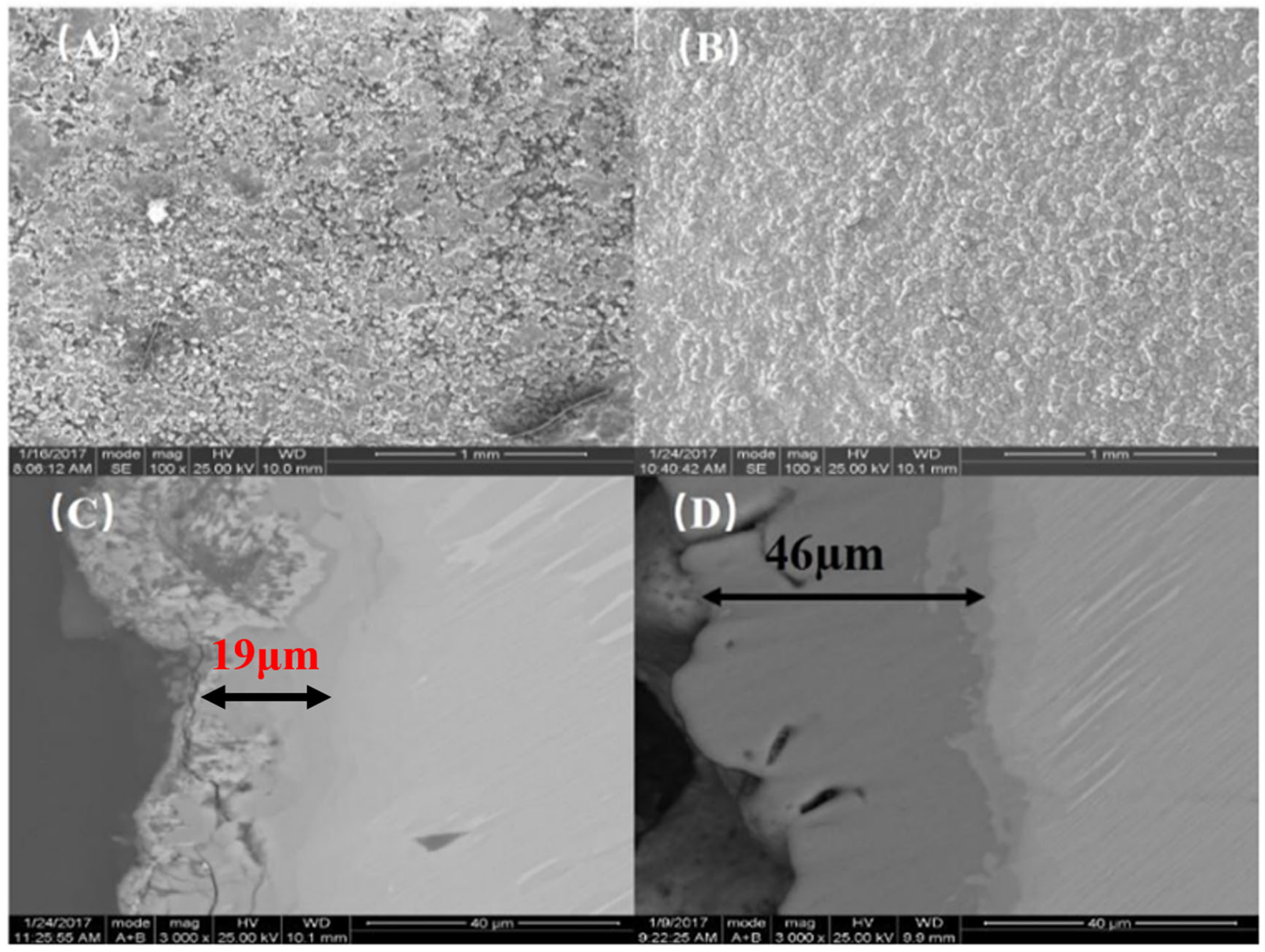 Coatings 15 00914 g002