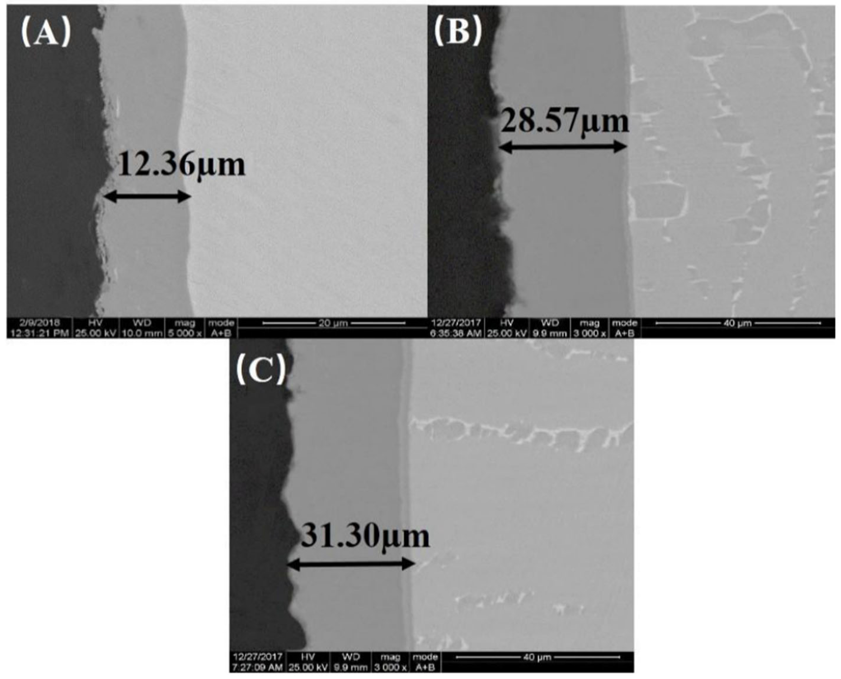 Coatings 15 00914 g005